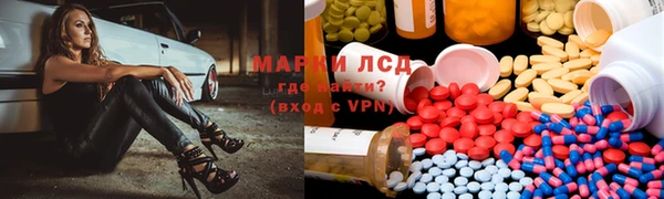 амф Новодвинск