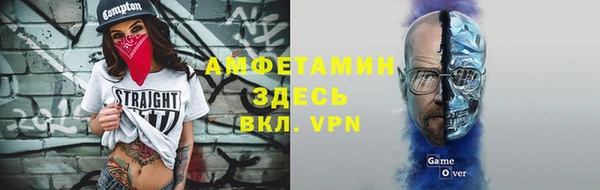 амф Новодвинск