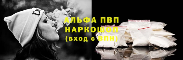 амф Новодвинск