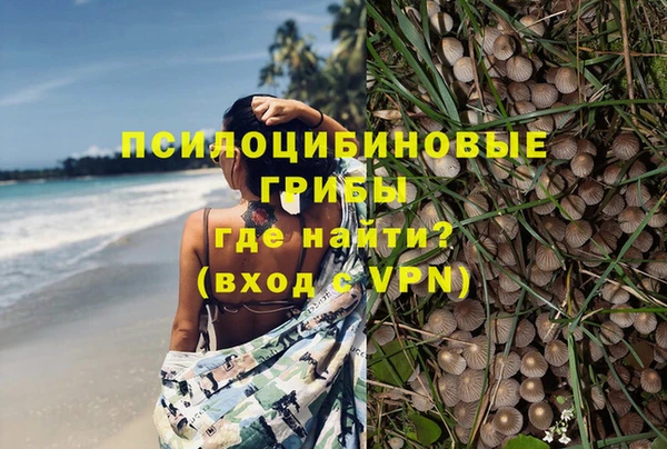 jwh Новокубанск