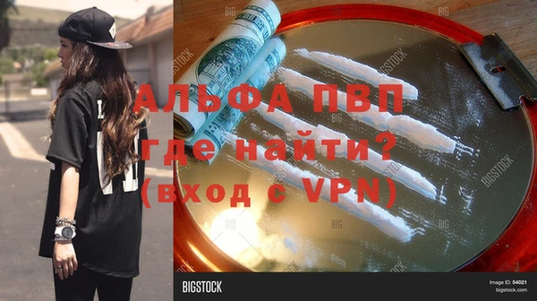 амф Новодвинск