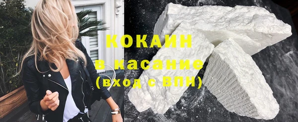 стафф Новозыбков