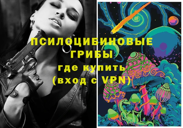 стафф Новозыбков