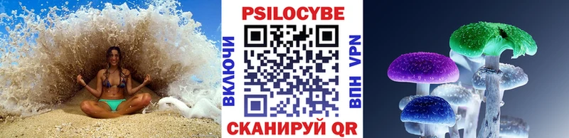 Галлюциногенные грибы Psilocybine cubensis  Новосибирск 
