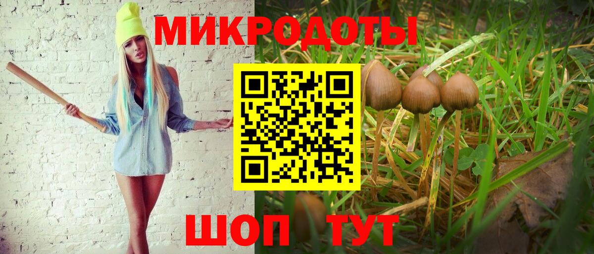 Новосибирск  Галлюциногенные грибы прущие грибы  Вход с VPN 